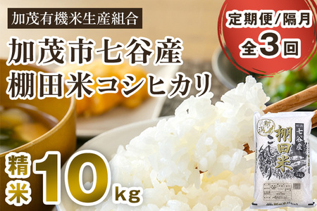 【定期便3回隔月お届け】【令和6年産新米先行予約】新潟県加茂市 七谷産 棚田米コシヒカリ 精米10kg（5kg×2）白米 加茂有機米生産組合 定期便 定期購入 定期 新潟県産コシヒカリ 米 お米