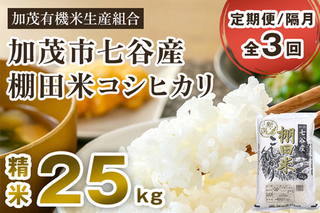 【定期便3回隔月お届け】【令和6年産新米先行予約】新潟県加茂市 七谷産 棚田米コシヒカリ 精米25kg（5kg×5）白米 加茂有機米生産組合 定期便 定期購入 定期 新潟県産コシヒカリ 米 お米