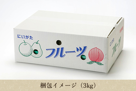 【2026年先行予約】【家庭用】和梨 新興 3kg（5～6玉）《10月中旬～順次出荷》 しんこうなし 果物 フルール ナシ 新潟産 加茂市 入江果樹園 