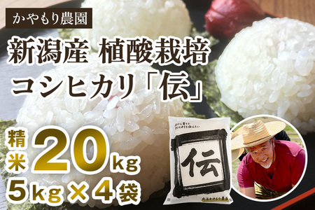 【令和5年産米】新潟産コシヒカリ「伝」白米真空パック 精米20kg（5kg×4）南麻布の高級料亭で提供される極上米 かやもり農園 コシヒカリ 新潟県産コシヒカリ 米 お米