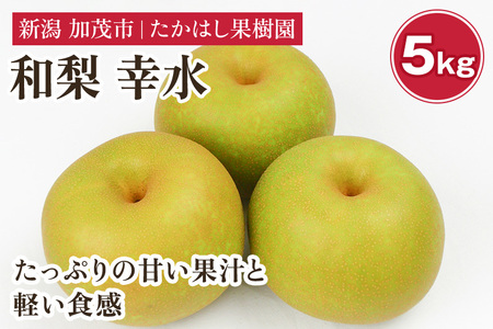 新潟県産和梨 幸水 約5kg《2023年8月中旬以降配送》こうすい 果物 ...