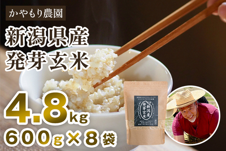 【令和5年産米】[発芽玄米] 新潟産 発芽玄米4.8kg（600g×8個）新潟米 新潟県産 かやもり農園 発芽玄米 発芽玄米 発芽玄米 発芽玄米 発芽玄米