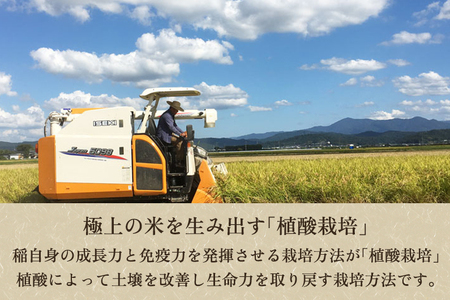 【令和5年産米】[発芽玄米] 新潟産 発芽玄米4.8kg（600g×8個）新潟米 新潟県産 かやもり農園