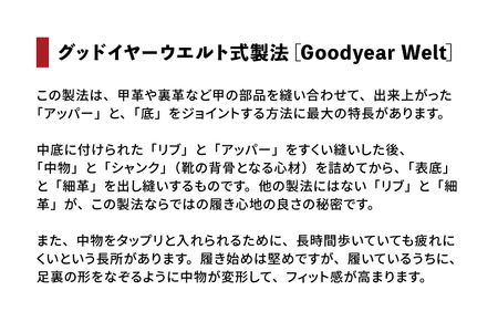 11月1日以降寄付額改定】REGAL 2504 NAEBT プレーントゥ ブラック 27.0