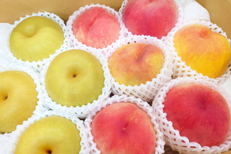 【2026年先行予約】たかはし果樹園 謹製 桃と和梨の内容おまかせ詰め合わせセット 約3kg《8月中旬～順次発送》