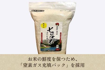 【令和6年産新米】【定期便6ヶ月毎月お届け】老舗米穀店が厳選 新潟産 従来品種コシヒカリ「七谷米」無洗米2kg 窒素ガス充填パックで鮮度長持ち 金子米店 定期便 定期購入 定期 新潟県産コシヒカリ 米 お米