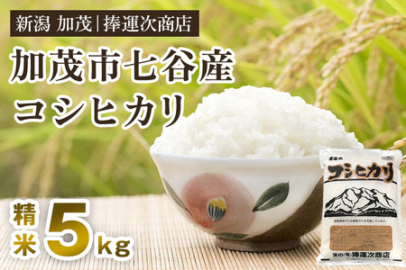 【令和6年産新米】新潟県加茂市七谷産コシヒカリ 精米5kg 白米 捧運次商店 新潟県産コシヒカリ 米 お米