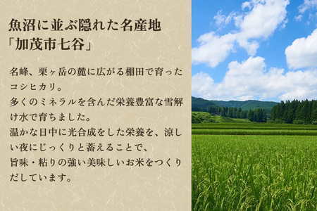 【令和6年産新米】【定期便6ヶ月毎月お届け】新潟県加茂市七谷産コシヒカリ 精米5kg 白米 捧運次商店 定期便 定期購入 定期 新潟県産コシヒカリ 米 お米