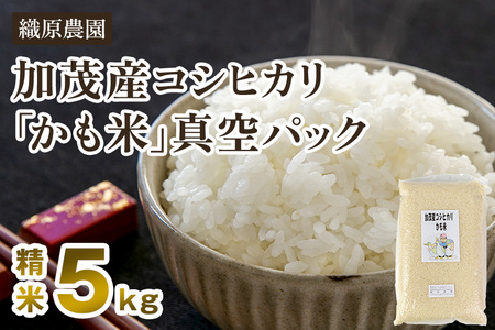 新潟産令和5年産従来コシヒカリ精米30キロ食品 - 米