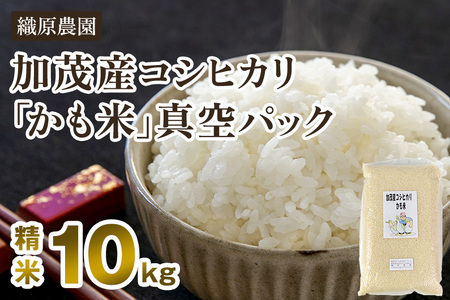 日本最安無農薬米新潟県産コシヒカリ10k 米/穀物