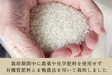 令和5年産米】【無農薬・無化学肥料】新潟産コシヒカリ「かも米」玄米