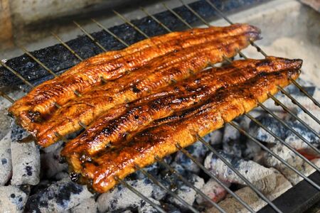 【JAにいがた南蒲コラボ】突破めし(1人前)難関突破米2合・炭火焼うなぎ1尾入り《1尾約150~180g×1、約25cm、たれ18g×1個、山椒1袋、難関突破米300g(2合)×1》老舗料亭の味 贈答 加茂市 日本料理きふね うなぎ 鰻 うなぎの蒲焼 うなぎ うなぎ うなぎ うなぎ うなぎ