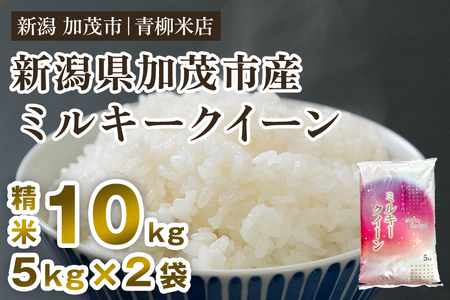 【令和5年産米】新潟県央地区 ミルキークイーン 精米10kg（5kg×2）白米 青柳米店 ミルキークイーン 新潟県産ミルキークイーン 米 お米