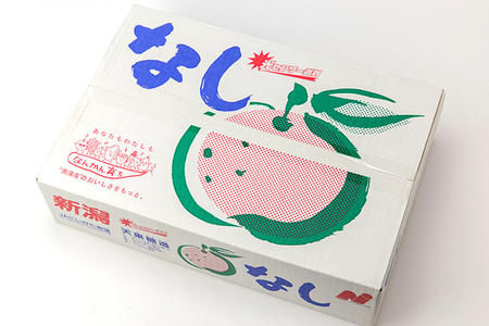 【2026年先行予約】「天果糖逸(てんかとういつ)」新潟県産和梨 新興 約5kg(6~8玉)《10月下旬~配送予定》 しんこう 加茂市 えちご中越農業協同組合