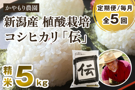 【定期便5ヶ月毎月お届け】新潟産コシヒカリ「伝」白米真空パック 精米5kg 南麻布の高級料亭で提供される極上米 かやもり農園 定期便 定期購入 定期 コシヒカリ 新潟県産コシヒカリ 米 お米コシヒカリ コシヒカリ コシヒカリ コシヒカリ コシヒカリ