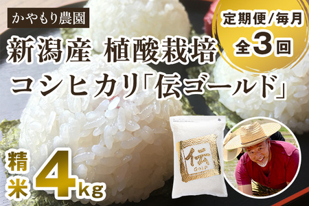 【定期便3回毎月お届け】新潟産コシヒカリ「伝ゴールド」白米真空パック 精米4kg（2kg×2）かやもり農園