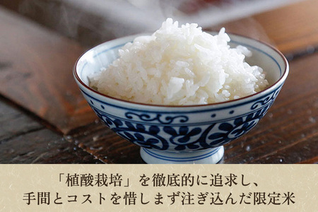 【定期便3回隔月お届け】新潟産コシヒカリ「伝ゴールド」白米真空パック 精米8kg（2kg×4）かやもり農園