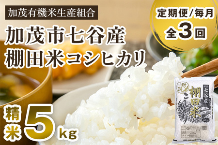 【定期便3回毎月お届け】【令和6年産新米先行予約】新潟県加茂市 七谷産 棚田米コシヒカリ 精米5kg 白米 加茂有機米生産組合 定期便 定期購入 定期 新潟県産コシヒカリ 米 お米