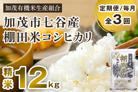 【定期便3回毎月お届け】【令和6年産新米先行予約】新潟県加茂市 七谷産 棚田米コシヒカリ 精米12kg（5kg×2＋2kg×1）白米 加茂有機米生産組合 定期便 定期購入 定期 新潟県産コシヒカリ 米 お米