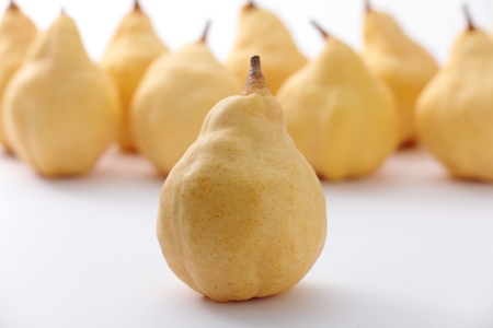 【2025年先行予約】【贈答用】西洋梨 ル・レクチェ 約2kg(5~7玉) 《11月下旬以降発送》捧青果園