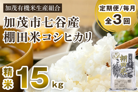 【定期便3回毎月お届け】【令和6年産新米先行予約】新潟県加茂市 七谷産 棚田米コシヒカリ 精米15kg（5kg×3）白米 加茂有機米生産組合 定期便 定期購入 定期 新潟県産コシヒカリ 米 お米