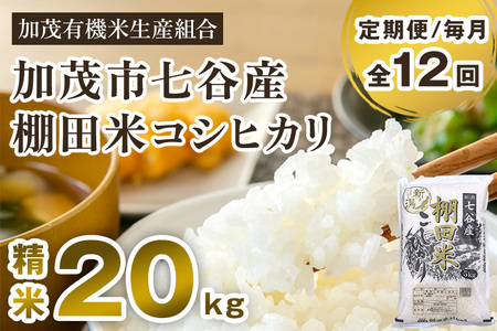 【定期便12ヶ月毎月お届け】新潟県加茂市 七谷産 棚田米コシヒカリ 精米20kg（5kg×4）白米 加茂有機米生産組合 定期便 定期購入 定期 コシヒカリ 新潟県産コシヒカリ 米 お米