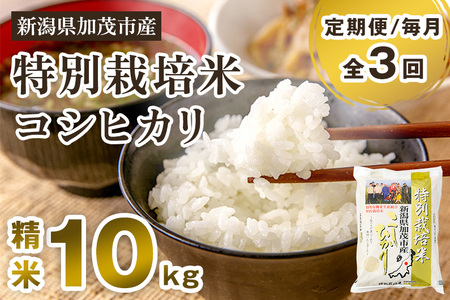 定期便3回毎月お届け】新潟県加茂市産 特別栽培米コシヒカリ 精米10kg
