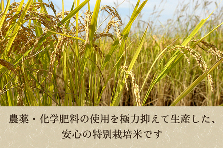 定期便5ヶ月毎月お届け】新潟県加茂市産 特別栽培米コシヒカリ 精米5kg