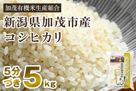 令和5年産米】【5分づき】新潟県加茂市産 特別栽培米コシヒカリ 精米