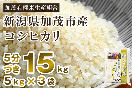 新潟県加茂市産 特別栽培米コシヒカリ 精米15kg（5kg×3）白米 従来品種