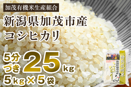 【2024年先行予約】【令和6年度産新米】【5分づき】新潟県加茂市産 特別栽培米コシヒカリ 精米 25kg（5kg×5） 従来品種コシヒカリ 加茂有機米生産組合 コシヒカリ 新潟県産コシヒカリ 米 お米コシヒカリ コシヒカリ コシヒカリ コシヒカリ コシヒカリ