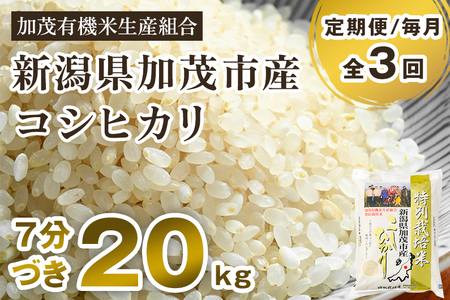新潟県 従来 コシヒカリ 精米 白米 20kg - 米