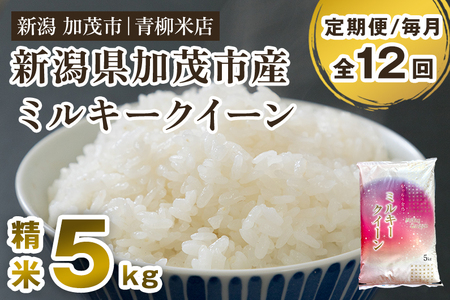 【定期便12ヶ月毎月お届け】新潟県央地区 ミルキークイーン 精米5kg 白米 青柳米店 定期便 定期購入 定期 ミルキークイーン 新潟県産ミルキークイーン 米 お米 ミルキークイーン ミルキークイーン ミルキークイーン ミルキークイーン ミルキークイーン