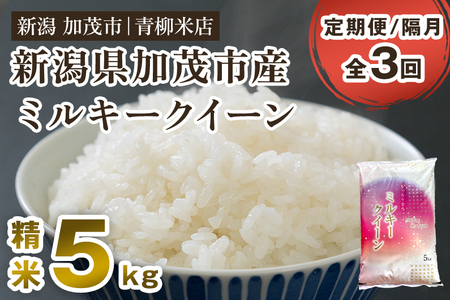 【令和6年産新米先行予約】【定期便3回隔月お届け】新潟県央地区 ミルキークイーン 精米5kg 白米 青柳米店 定期便 定期購入 定期 ミルキークイーン 新潟県産ミルキークイーン 米 お米 ミルキークイーン ミルキークイーン ミルキークイーン ミルキークイーン ミルキークイーン