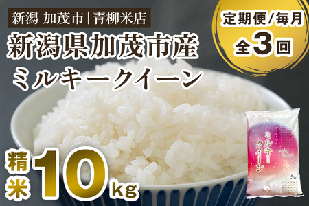 【令和6年産新米先行予約】【定期便3回毎月お届け】新潟県央地区 ミルキークイーン 精米10kg（5kg×2）白米 青柳米店 定期便 定期購入 定期 ミルキークイーン 新潟県産ミルキークイーン 米 お米 ミルキークイーン ミルキークイーン ミルキークイーン ミルキークイーン ミルキークイーン