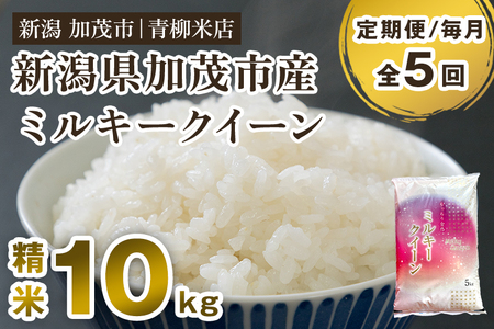 【定期便5ヶ月毎月お届け】新潟県央地区 ミルキークイーン 精米10kg（5kg×2）白米 青柳米店 定期便 定期購入 定期 ミルキークイーン 新潟県産ミルキークイーン 米 お米 ミルキークイーン ミルキークイーン ミルキークイーン ミルキークイーン ミルキークイーン