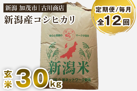 【令和7年産新米】【定期便12ヶ月毎月お届け】新潟県加茂市産コシヒカリ 玄米30kg 《順次発送》 お米の専門店 古川商店