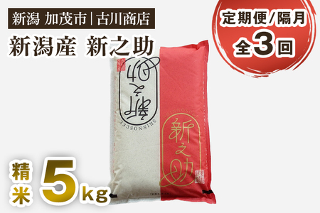 【令和7年産】【定期便3回隔月お届け】新潟の新ブランド米「新之助」精米5kg 《順次発送》 白米 大粒 加茂市 お米の専門店 古川商店