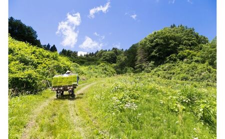 江戸伝承厳選棚田米５kg お米 コメ 