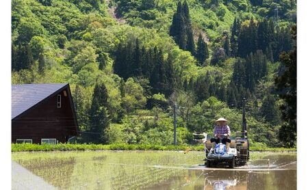 江戸伝承棚田米２Kg お米 コメ 