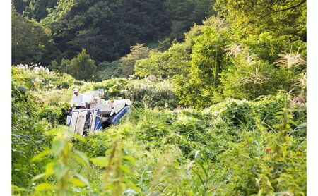 江戸伝承棚田米２Kg お米 コメ 