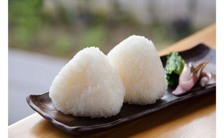 江戸伝承棚田米２Kg お米 コメ 