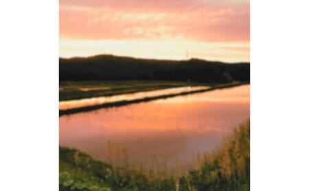 令和7年産魚沼産特別栽培米コシヒカリ［清津の恵］精米10kg（5kgx2袋）