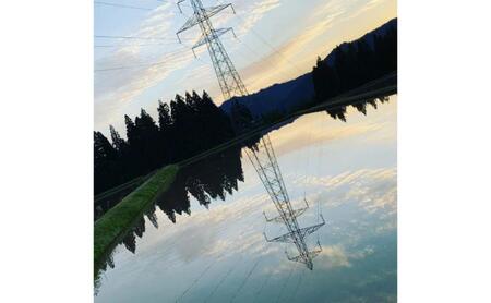 令和7年産魚沼産特別栽培米コシヒカリ［清津の恵］精米10kg（5kgx2袋）