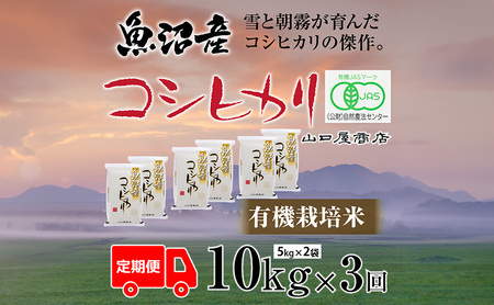 定期便 全3回 有機栽培米 魚沼産コシヒカリ 5kg×2袋 お米 コメ 