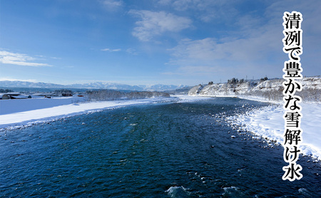 定期便 全6回 有機栽培米 魚沼産コシヒカリ 5kg お米 コメ