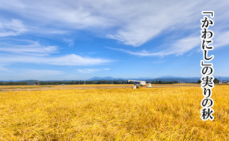 定期便 全6回 有機栽培米 魚沼産コシヒカリ 5kg お米 コメ