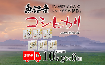 定期便 全6回 魚沼産コシヒカリ 5kg×2袋 お米 米 コメ