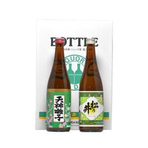 十日町市 普通酒セット お酒 松乃井 日本酒 飲み比べ 