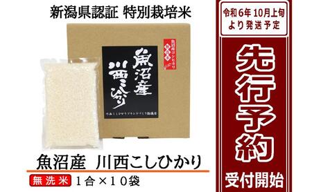 【先行予約】【無洗米】魚沼産川西こしひかり1合×10袋 新潟県認証特別栽培米 令和6年度米＜令和6年10月上旬～発送予定＞